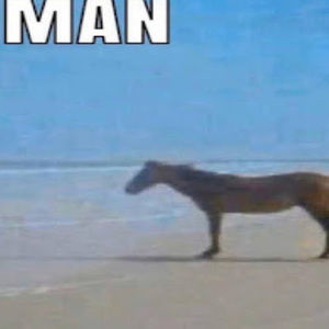 Meet your Posher, Bob